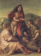 Andrea del Sarto The Madonna of the Stair (san05) Spain oil painting artist